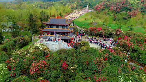 這是貴州百里杜鵑花海,世界天然花園,只想說好美啊