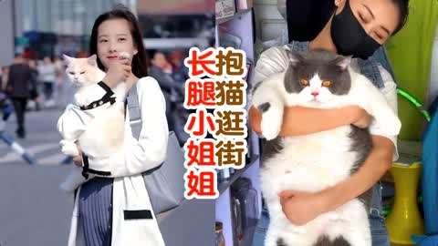 那些被小姐姐抱着逛街的猫咪好幸福，这是逼着宅男养猫呀