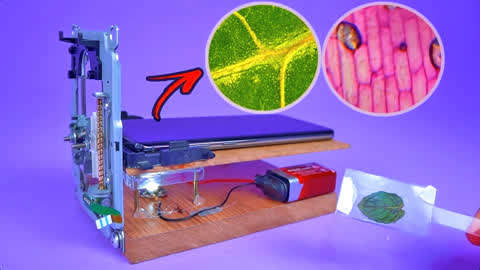 如何使用手機制作簡易的顯微鏡?新奇創意手工,一起來見識下!