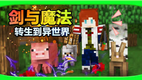 逍遥小枫:剑与魔法之转生到异世界【我的世界minecraft 我的世界剑