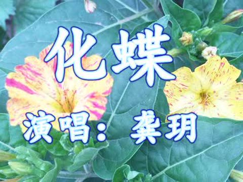 龔玥一首經典歌曲《化蝶》好聽醉了