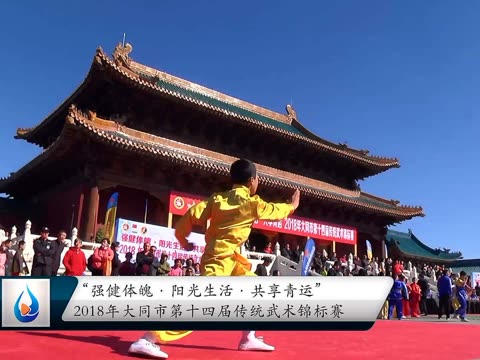 大同市武术（大同武术协会）《山西大同武术名家排名》