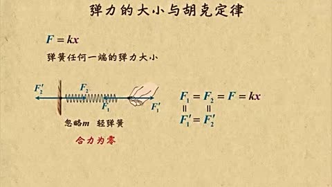 彈力大小與胡克定律