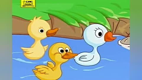 小鸭子学游泳