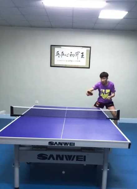 王开乒乓球水平图片