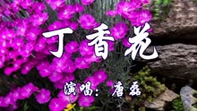 [图]唐磊经典歌曲《丁香花》凄美的爱，疼惜是最优秀的情感！