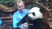 老外抱大熊猫遭拒绝，不料递给熊猫半个苹果后，搞笑的一幕发生了