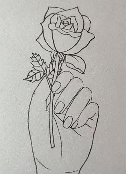 用6666画拿着玫瑰的手大家看视频太辛苦了!送大家一朵玫瑰花