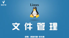 西部开源Linux文件管理：如何复制及移动文件