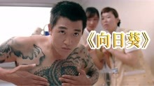 韩国犯罪片《向日葵》，黑帮老大为亲情，浪子回头
