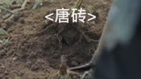 唐砖:村民挖地挖到龟甲果真有天灾降临