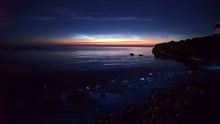 涠洲岛出现荧光海滩，宛若蓝色星河般的荧光随海浪浮现有多美