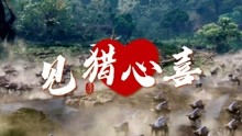 線上看 阿凡達：經典狩獵名場面 (2021) 帶字幕 中文配音，國語版