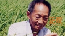 袁隆平因多器官功能衰竭，于2021年5月22日13时07分在长沙逝世，享年91岁