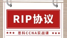 思科CCNA实战课之RIP协议