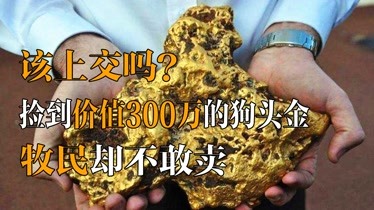 撿到的黃金該上交嗎牧民撿到157斤狗頭金價值300萬卻不敢賣