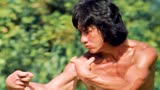 1973年上映经典武侠《刁手怪招》，真功夫拳拳到肉，精彩过瘾！