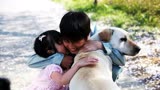 解说高分催泪电影《人狗奇缘》还有比狗狗更忠诚的动物吗？