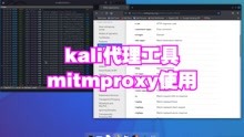 linux kali代理工具mitmproxy使用