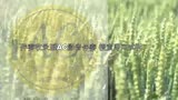倩女幽魂插曲 殇 伴奏 舞台专业伴奏