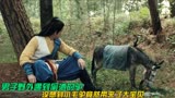 七剑降魔传：男子野外遇到偷酒的驴，没想到竟然带来大宝贝