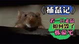 真人版猫和老鼠，人与鼠的追逐之战《捕鼠记》
