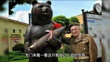 一只参加过第二次世界大战的熊！