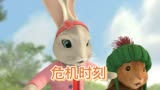 彼得兔之危机时刻，0—6岁儿童早教启蒙休闲益智动画片解说推荐
