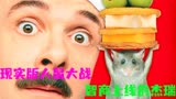 《捕鼠记》第二集丨绝对减压的佳作，不解压你解我