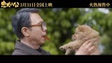 《忠犬八公》：冯小刚演绎中华田园犬的亲情故事