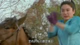《东成西就》1影视解说，10位大咖明星加盟，林青霞梁朝伟王祖贤
