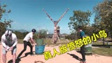真人短片：国外小伙自制超大型弹弓，上演了一段真人版愤怒的小鸟