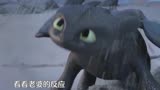 “无牙仔的表现像不像你的怨种男友？”#驯龙高手 #驯龙高手3
