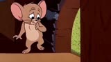 搞笑动漫  怀旧动画片  猫和老鼠的故事