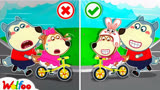 可悠漫 -沃夫教露西学骑车 该如何保证安全 快来一起学习吧