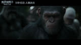《猩球崛起3：终极之战》“领袖凯撒”版