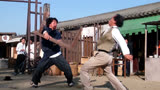 电影《醉拳2》主题曲：《醉拳》- 成龙，歌曲和武打动作很配