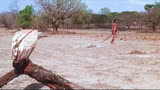 非洲偷猎大象，当地黑人一怒，对其展开万里追杀《裸杀万里追》