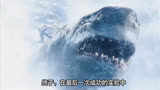 《深海狂鲨》：改变自然生物，后果不堪设想！
