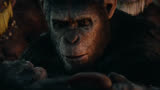 人和猿的大战拉开序幕《猩球崛起2》解说，（第1_3段）