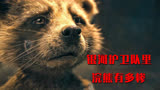 银河护卫队里浣熊到底有多可怜，同伴全死了，自己还被拿去做实验