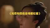 《知否知否应是绿肥红瘦》：盛纮捡棋子哭，背后的意义你知道吗？