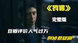 一口气看完国产刑侦悬疑剧《罚罪》