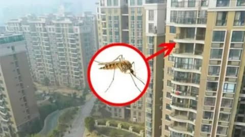 蚊子最高能飞到几层高楼，专家给出答案，网友：真买错楼层了