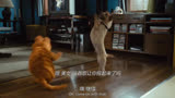 将军舞