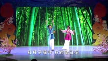 [图]再芬黄梅2016新春戏曲晚会