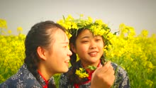百集微视频《发现泰州之美》第二十集：千垛菜花