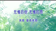 [图]望海高歌演唱 MTV版《无情的你无情的雨》太伤感了