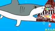 英文儿歌鲨鱼