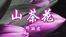 [图]怀旧老歌，邓丽君一首《山茶花》好听极了